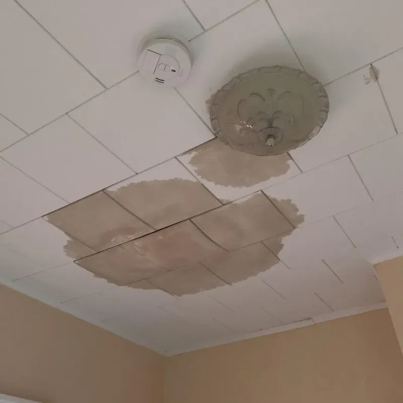 Ceiling Water Damage Repair in Franklin County, MA