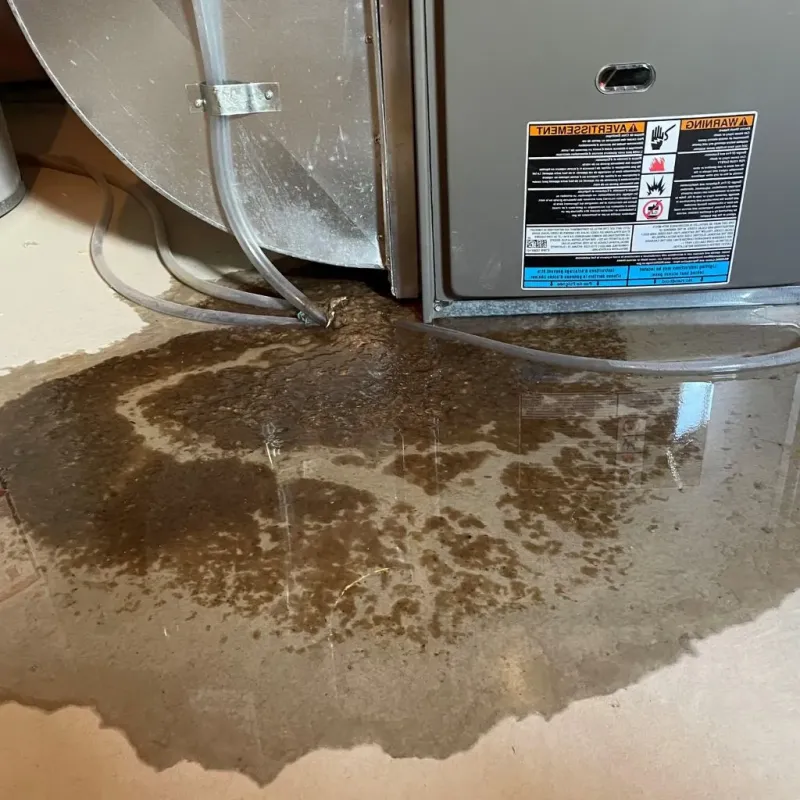 Pipe Burst and Leak Restoration in Franklin County, MA