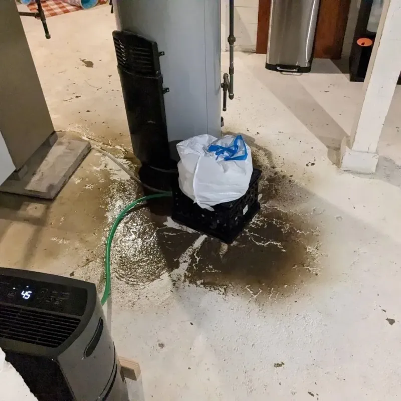 Sewage Backup Cleanup Service in Franklin County, MA